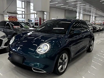 Euler Good Cat 2021 Model 400km Standard Range Athena Edition Lithium Iron Phosphate купить на сайте DeffCars