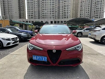 Stelvio 2017 2.0T 200HP Elite Edition купить на сайте DeffCars