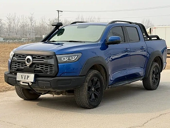 Cannon 2021 2.0T off-road version automatic gasoline four-wheel drive Everest version GW4C20B купить на сайте DeffCars