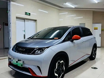 Dolphin 2021 405km Free Edition купить по цене 1 851 184 ₽  на сайте DeffCars