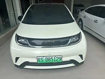 Dolphin 2025 model 420km fashion version купить по цене 2 087 402 ₽  на сайте DeffCars