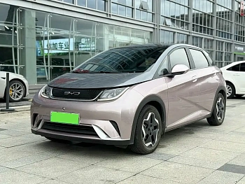 Dolphin 2021 model 405km fashion version купить по цене 1 834 571 ₽  на сайте DeffCars