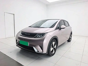Dolphin 2023 420km Free Edition купить на сайте DeffCars
