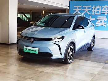 Weilan 7 2020 model 652E Internet smart model купить по цене 2 080 789 ₽  на сайте DeffCars