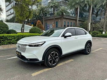 Binzhi 2023 1.5L CVT Pioneer Edition купить на сайте DeffCars