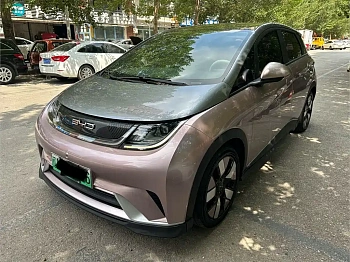 Dolphin 2021 401km Rider Edition купить на сайте DeffCars
