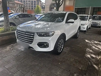 Haval H6 2020 1.5GDIT Automatic Platinum Champion Edition купить по цене 1 758 351 ₽  на сайте DeffCars