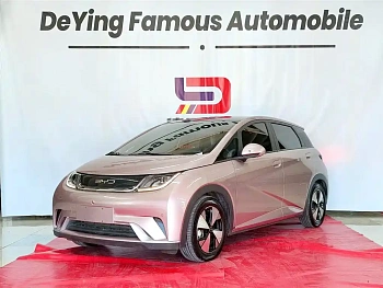 Dolphin 2023 model 420km fashion version купить по цене 1 860 901 ₽  на сайте DeffCars