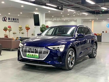 Audi e-tron imported 2019 55 quattro technical model купить на сайте DeffCars