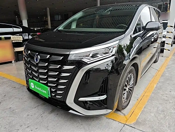 Denza D9 2022 DM-i 1040 Premium Type купить на сайте DeffCars