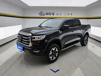 Cannon 2021 2.0T Passenger Global Version Automatic Diesel Two-wheel Drive Comfort Standard Box GW4D20M купить на сайте DeffCars