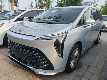 Century 2025 2.0T seven-seat Yuanshi Edition купить на сайте DeffCars
