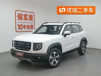 Haval Big Dog 2021 1.5T DCT Two-wheel drive Labrador Edition купить по цене 1 794 270 ₽  на сайте DeffCars