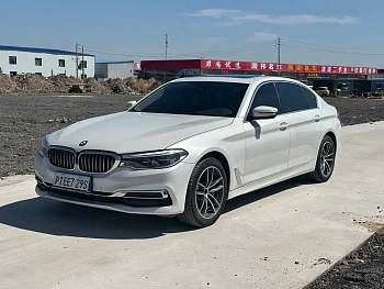 BMW 5 Series 2020 530Li xDrive Luxury Package купить на сайте DeffCars