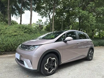 Dolphin 2021 model 405km fashion version купить по цене 1 915 837 ₽  на сайте DeffCars