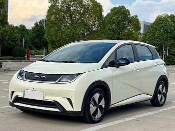 Dolphin 2021 model 405km fashion version купить по цене 1 849 384 ₽  на сайте DeffCars