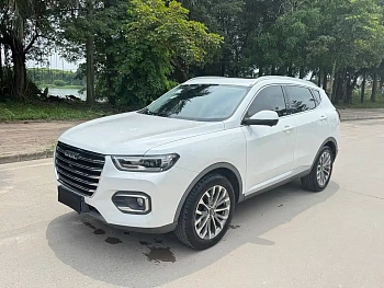 Haval H6 2020 1.5GDIT Automatic Platinum Champion Edition купить по цене 1 783 697 ₽  на сайте DeffCars