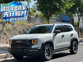 Havaldog 2024 2.0T DCT Chinese Pastoral Dog Edition купить на сайте DeffCars