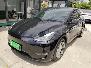Model Y 2021 standard range rear-wheel drive version купить на сайте DeffCars