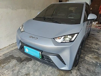 Seagull 2024 Honor Edition 305km Free Edition купить на сайте DeffCars