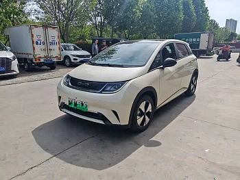 Dolphin 2023 420km Free Edition купить на сайте DeffCars