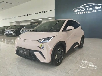 Seagull 2025 model 305km free version купить на сайте DeffCars