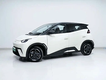 Seagull 2023 Flying Edition купить по цене 1 832 771 ₽  на сайте DeffCars