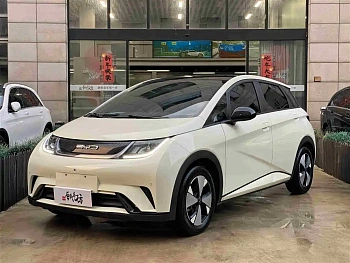 Dolphin 2023 model 420km fashion version купить по цене 1 859 229 ₽  на сайте DeffCars