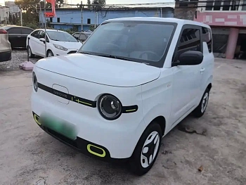 Panda 2025 Panda mini 210km Yuanqi Bear купить на сайте DeffCars