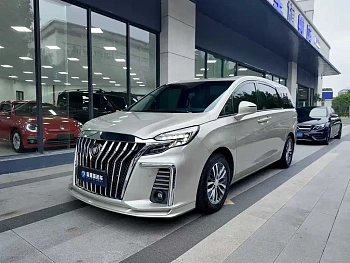 Buick GL8 2021 ES Luzun 653T Exclusive Model купить на сайте DeffCars