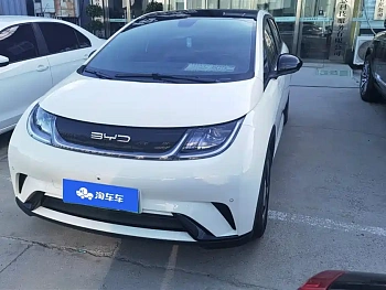 Dolphin 2023 model 420km fashion version купить по цене 1 987 085 ₽  на сайте DeffCars