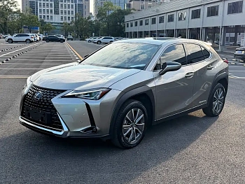 Lexus UX New Energy 2020 300e Pure Edition купить на сайте DeffCars