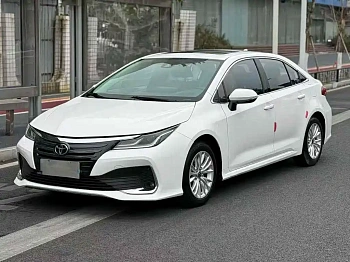 Asia Lion 2021 2.0L Advanced Edition купить на сайте DeffCars