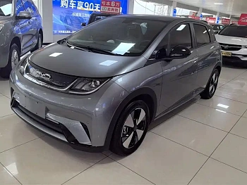 Dolphin 2023 model 420km fashion version купить по цене 2 100 777 ₽  на сайте DeffCars