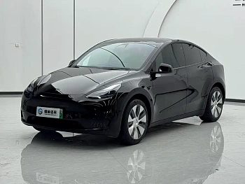 Model Y 2023 rear-wheel drive version купить на сайте DeffCars