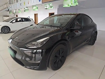 Model Y 2021 standard range rear-wheel drive version купить на сайте DeffCars
