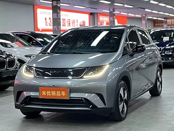 Dolphin 2023 420km Free Edition купить по цене 1 842 510 ₽  на сайте DeffCars