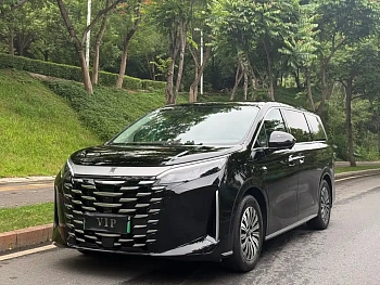 Summer 2025 DM-i 1.5T 100km transcendent type купить на сайте DeffCars