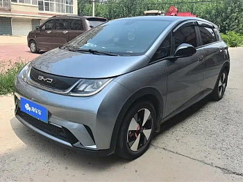 Dolphin 2023 model 420km fashion version купить по цене 1 929 450 ₽  на сайте DeffCars