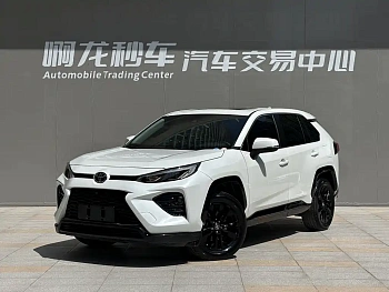 Wilanda 2022 2.0L CVT two-wheel drive knight version купить на сайте DeffCars
