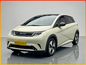 Dolphin 2023 model 420km fashion version купить по цене 1 892 668 ₽  на сайте DeffCars