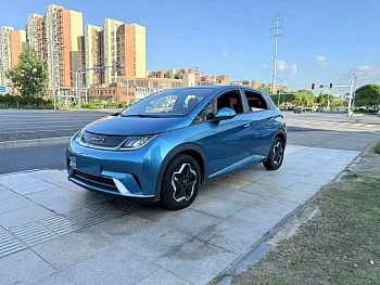 Dolphin 2021 model 405km fashion version Dolphin 2021 model 405km fashion version купить по цене 1 685 051 ₽  на сайте DeffCars