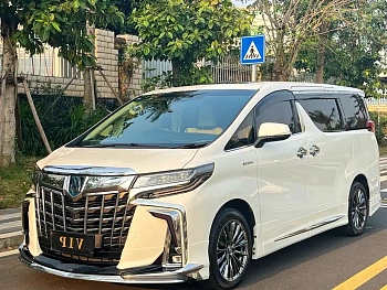 Alfa 2020 Shuangqing 2.5L Premium Edition купить на сайте DeffCars