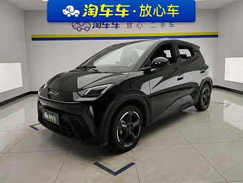 Seagull 2023 Flying Edition купить по цене 1 791 237 ₽  на сайте DeffCars