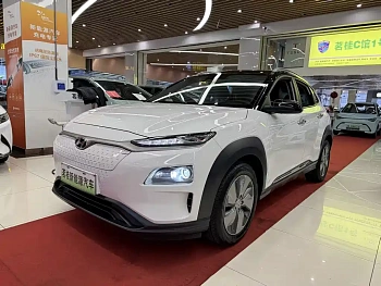 Ensign pure electric 2020 GLS Smart Edition купить на сайте DeffCars