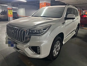 Haval H9 2022 2.0T gasoline four-wheel drive exclusive model 5 seats купить по цене 2 768 306 ₽  на сайте DeffCars