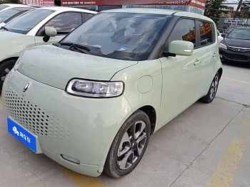Euler White Cat 2022 upgraded version 305km luxury model ternary lithium купить на сайте DeffCars