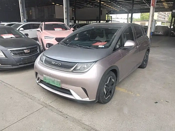 Dolphin 2021 model 405km fashion version Dolphin 2021 model 405km fashion version купить по цене 1 668 438 ₽  на сайте DeffCars