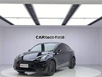 Model Y 2023 rear-wheel drive version купить на сайте DeffCars
