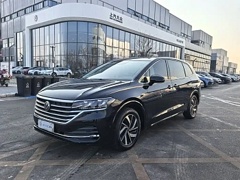 Weiran 2024 330TSI Deluxe Edition купить на сайте DeffCars